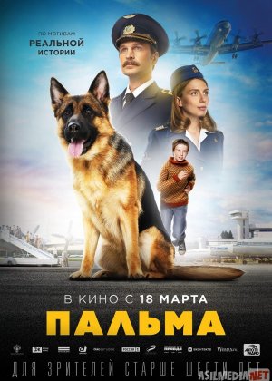 Palma Rossiya filmi Uzbek tilida 2020 O'zbekcha tarjima kino HD